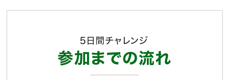 5日間チャレンジ参加までの流れタイトル