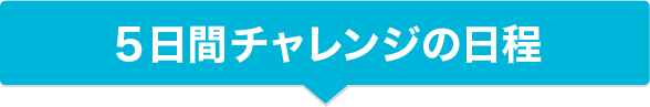 5日間チャレンジの日程