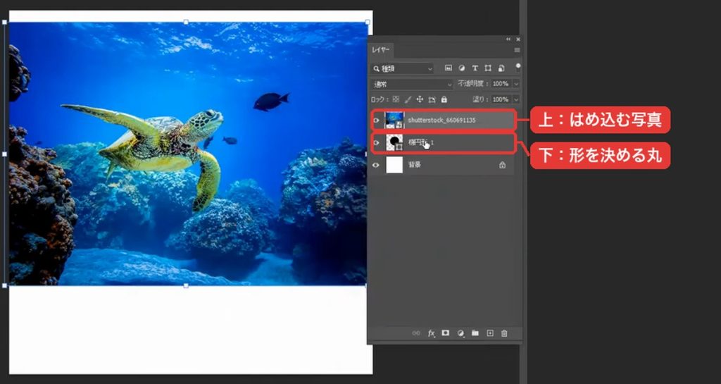 レイヤーパネルで、写真のレイヤーを丸のシェイプレイヤーの上に重ねた状態